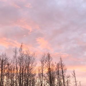 Meet your Posher, Lara